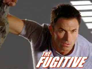 The Fugitive ReBoot (2000) The Complete Series On DVD Tim Daly Mykelti Williamson Bob Morrisey Stephen Lang  